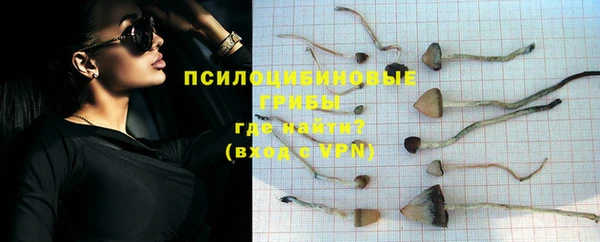экстази Ельня