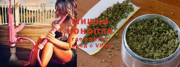 амф Елабуга