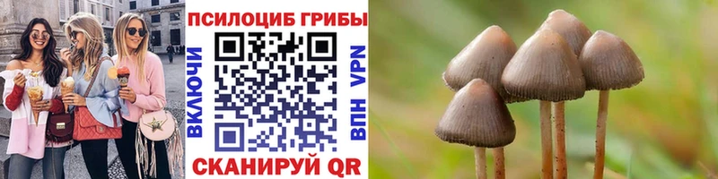 Псилоцибиновые грибы Psilocybe  гидра вход  Рузаевка  наркошоп 